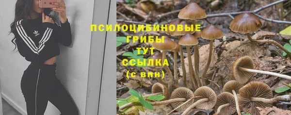 дживик Балахна